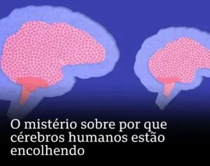 O Mistério dos Cérebros Humanos Encolhendo: O Que Isso Significa para Nós?